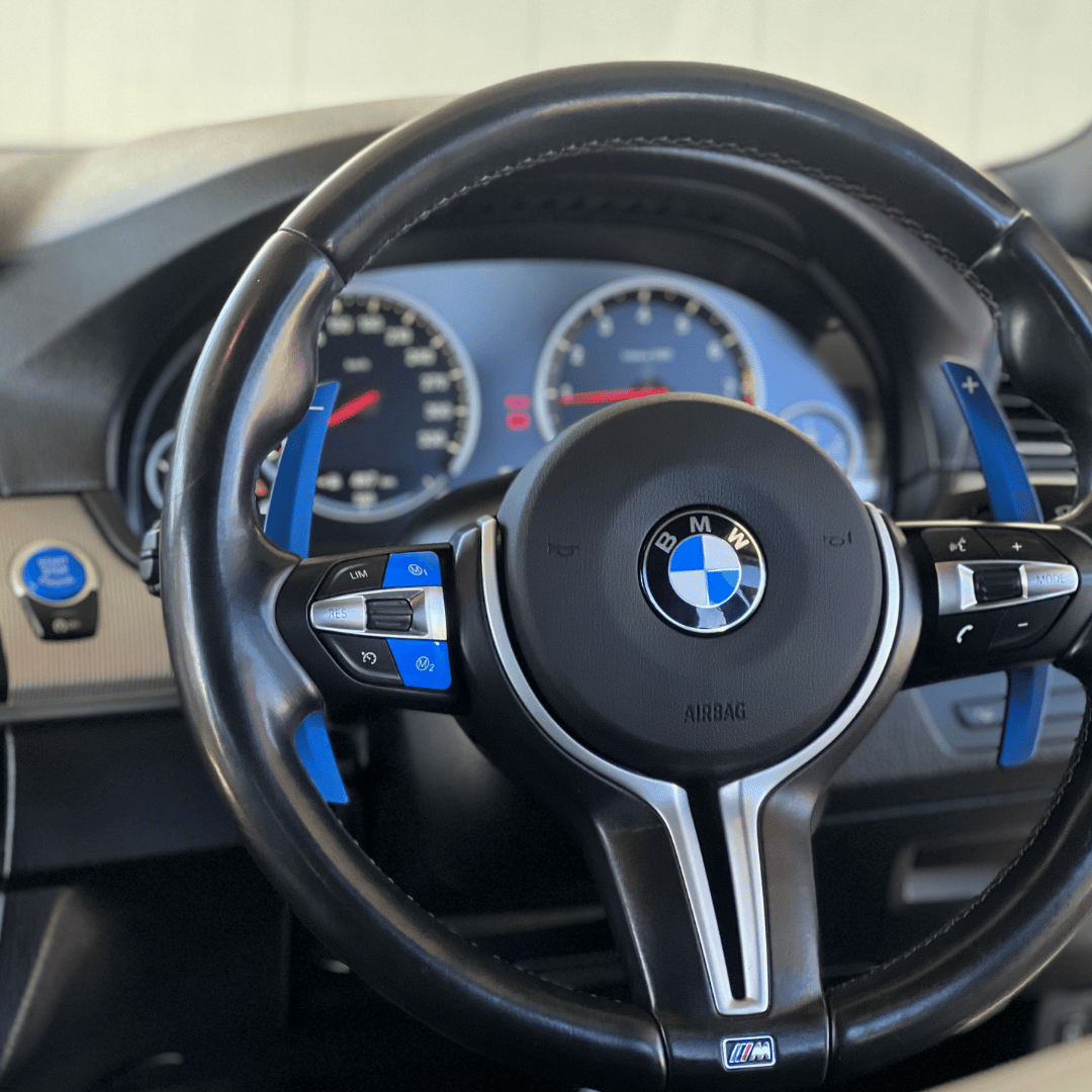 BMW Blue Replacement Paddles