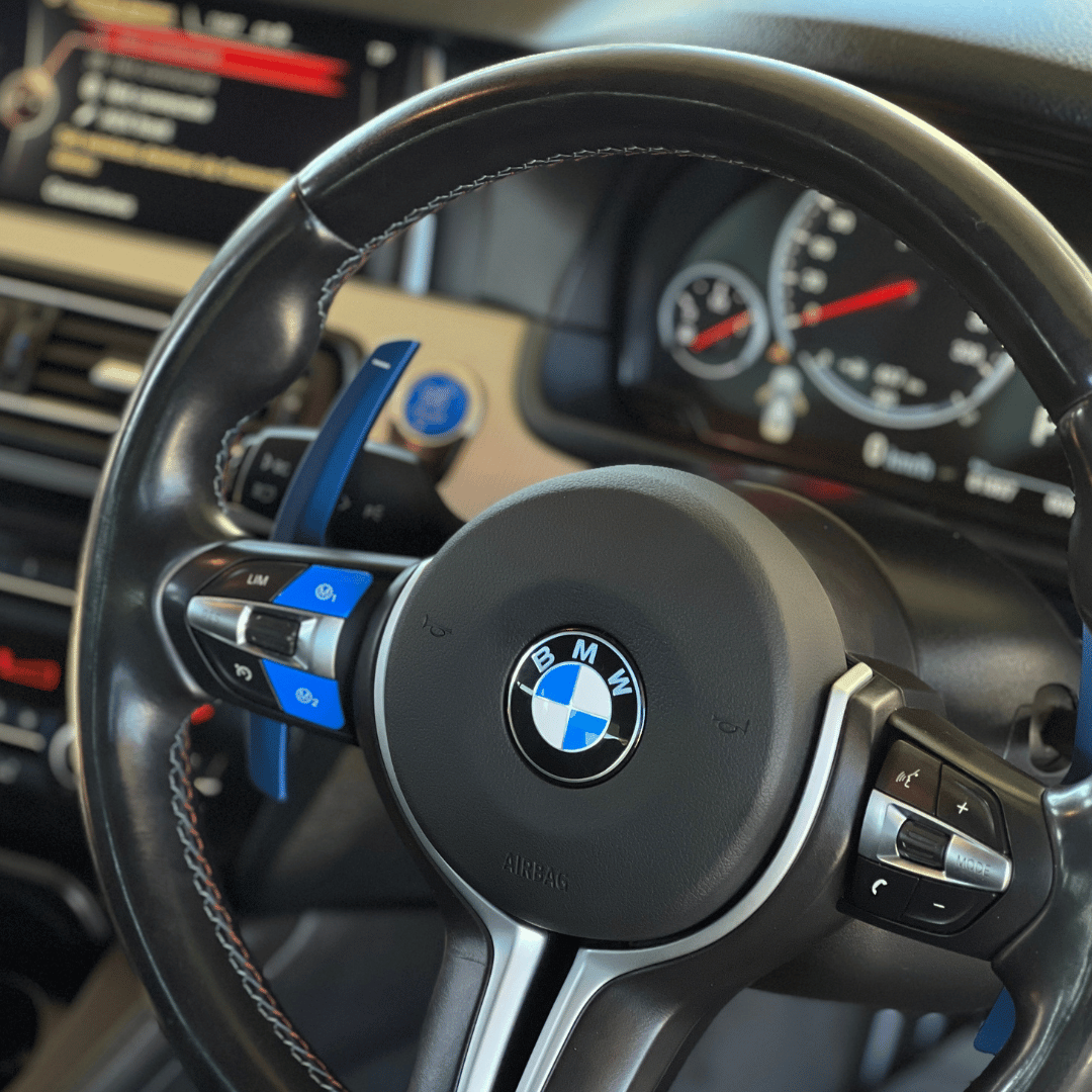 BMW Blue Replacement Paddles